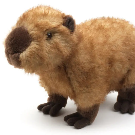 Capybara, Standing - 27 cm (Length) - Cuddle/Plush Toy